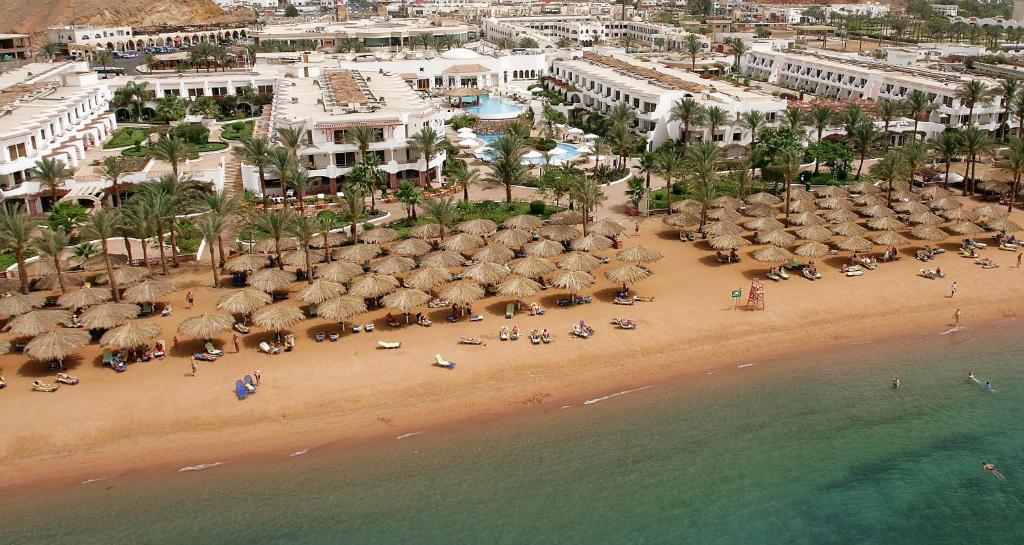 JAZ Elite Palace- Adults Only