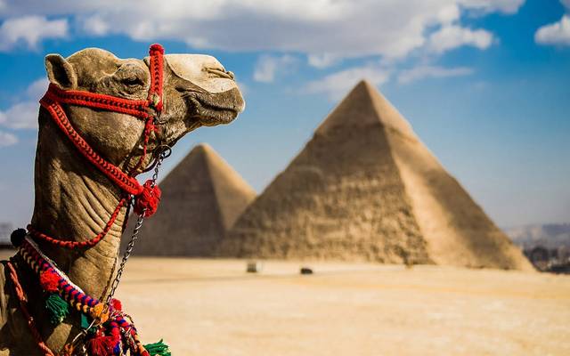 القاهرة والأقصر واسوان