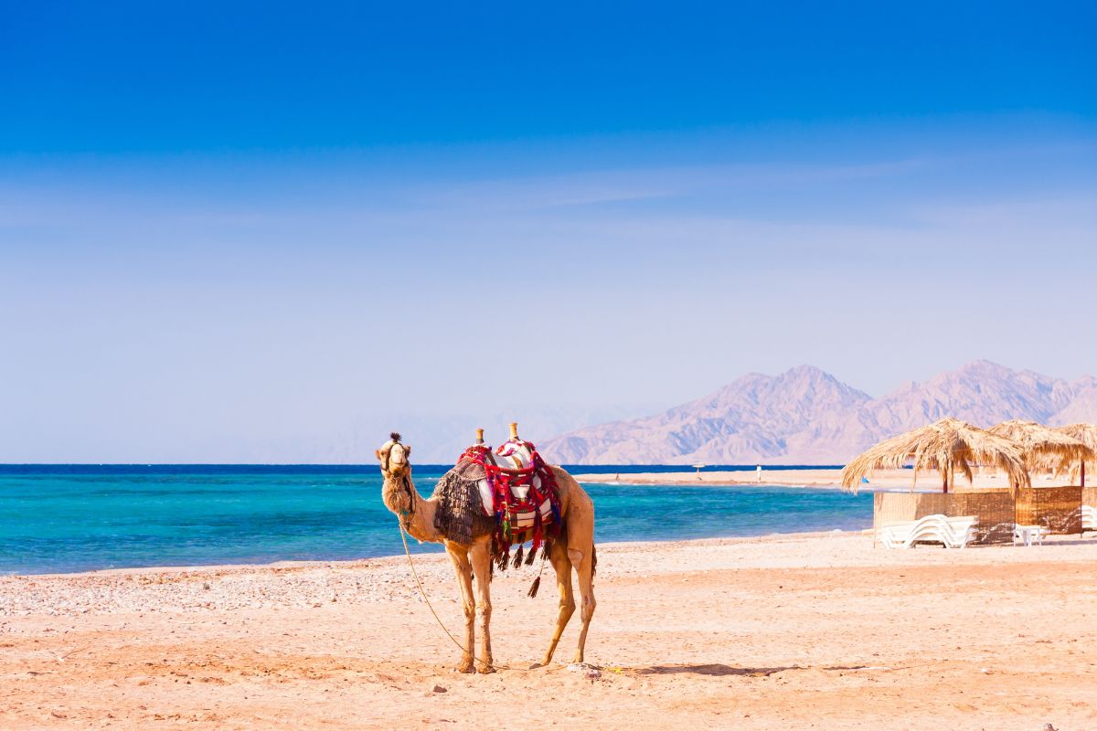 مغامرة عبر التاريخ والطبيعة