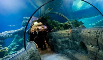 Sea Life London Aquarium
